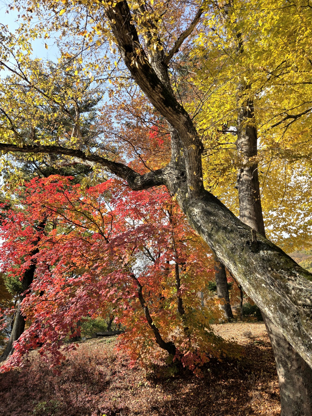 2025-2 우리절 참모습 바로알기 순례 - 지리산 벽송사